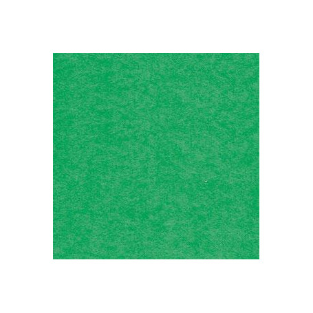 Brystol Zielony w formacie A1 20 ark./opak