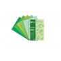 Blok Deco Green A4, 170g, 20 ark, 5 kol. tonacja zielona, Happy Color