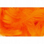 Piórka w torebce foliowej 15 gram, pomarańczowe